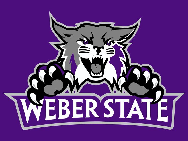 2021 FCS Season Preview: Weber State Wildcats
