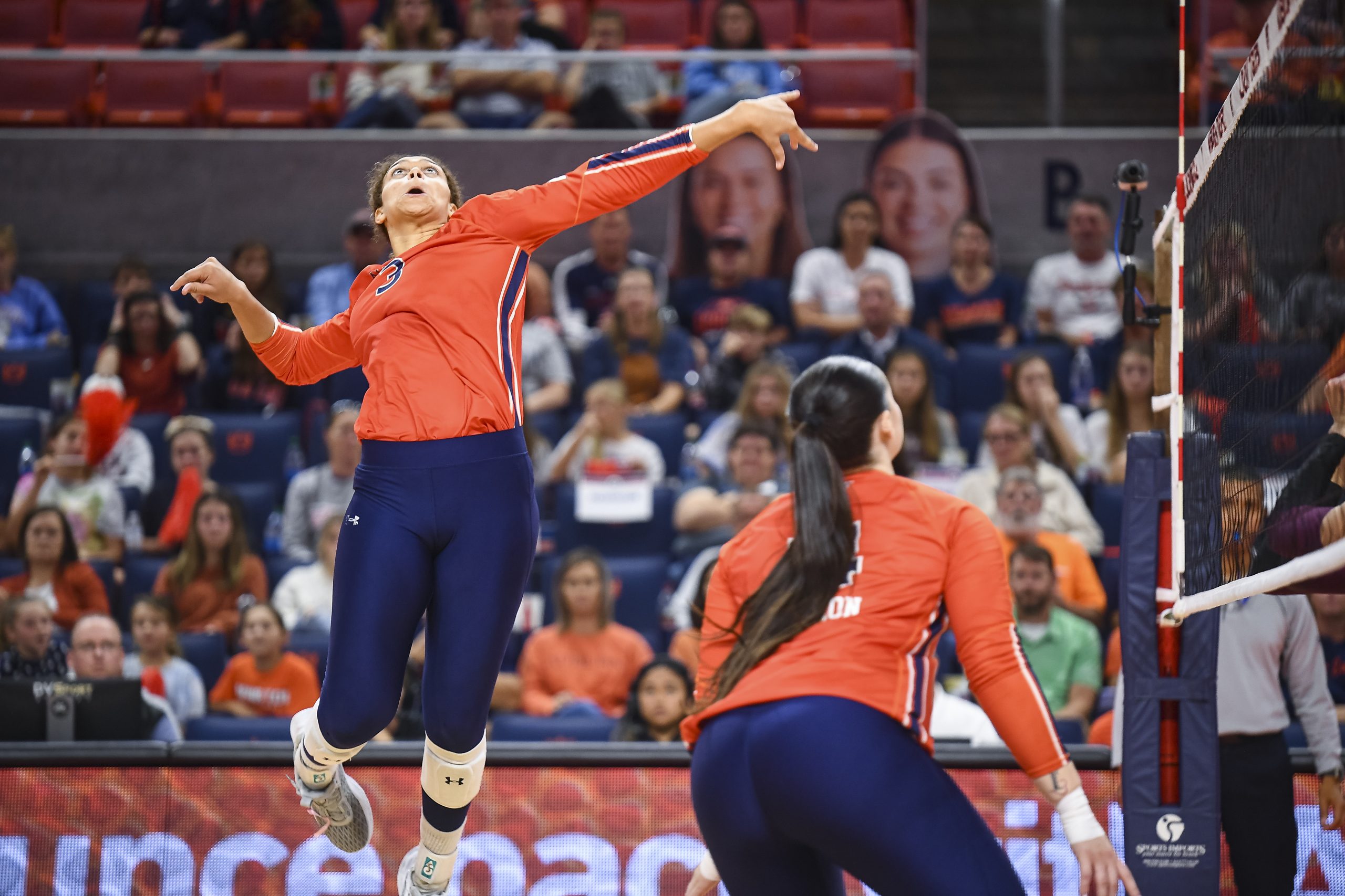 AUBURN VOLLEYBALL: Tigers Look For Rare Back-to-Back Winning Seasons