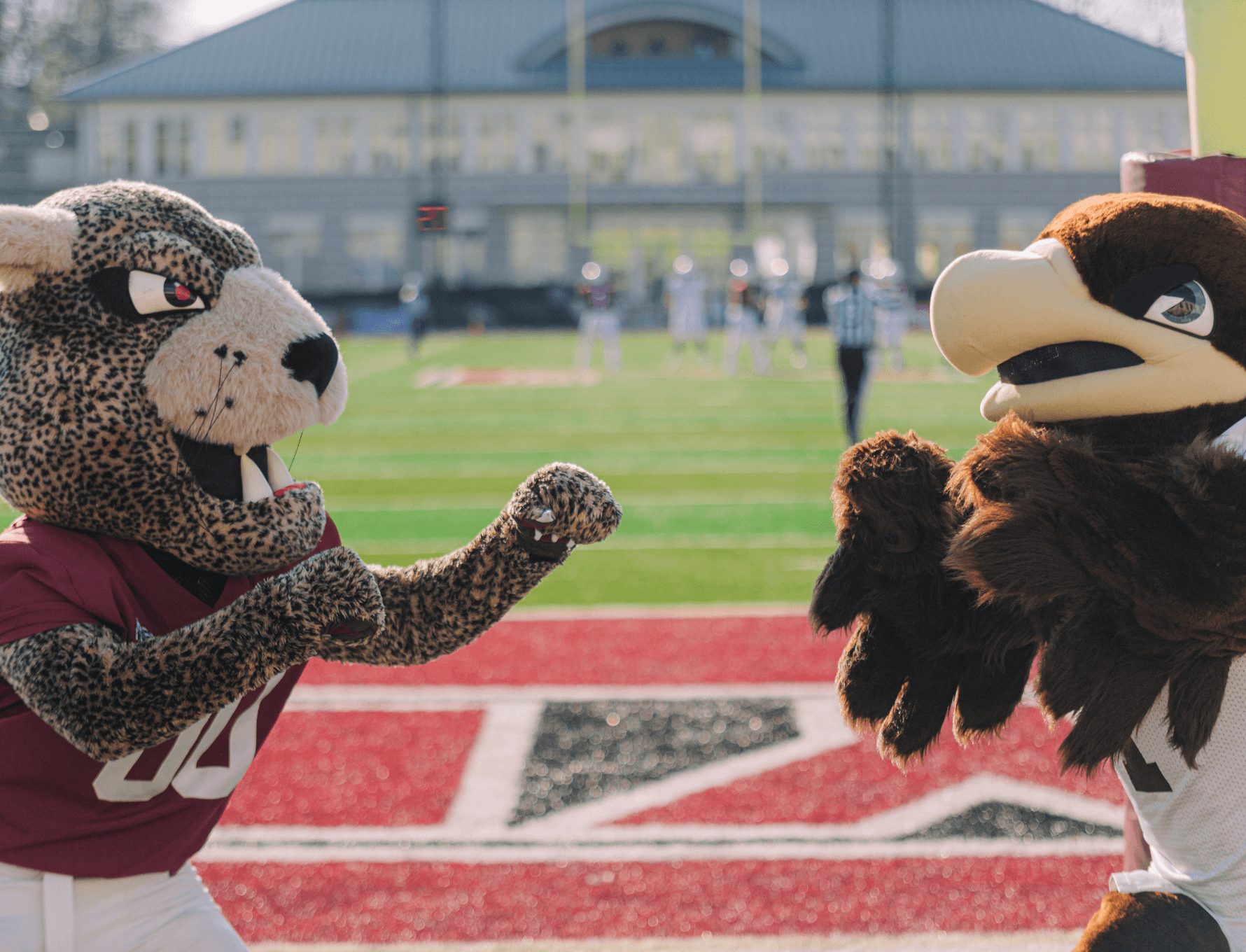 #Rivalry159 Preview, Lafayette at Lehigh
